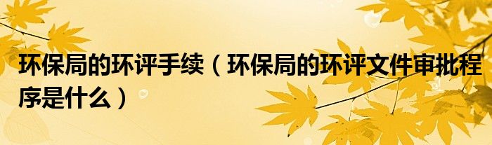 环保局的环评文件审批程序是什么(环保局的环评手续)