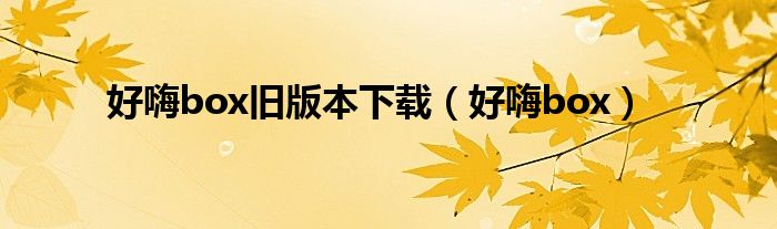 好嗨box(好嗨box旧版本下载)