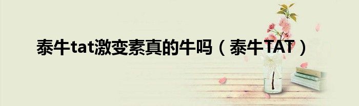 泰牛TAT(泰牛tat激变素真的牛吗)
