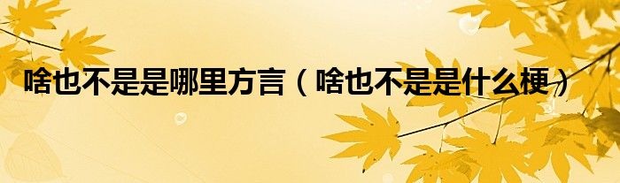 啥也不是是什么梗(啥也不是是哪里方言)