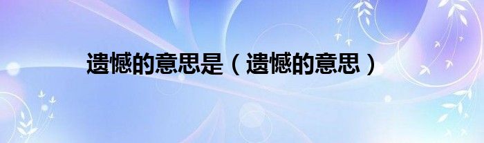 遗憾的意思(遗憾的意思是)