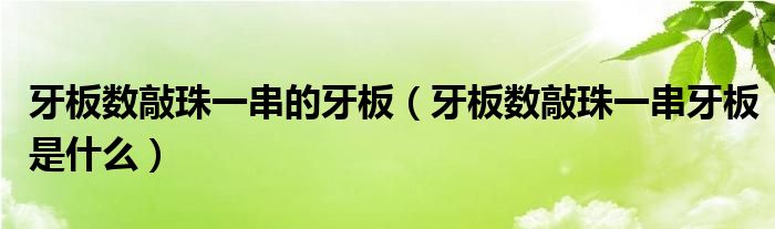 牙板数敲珠一串牙板是什么(牙板数敲珠一串的牙板)