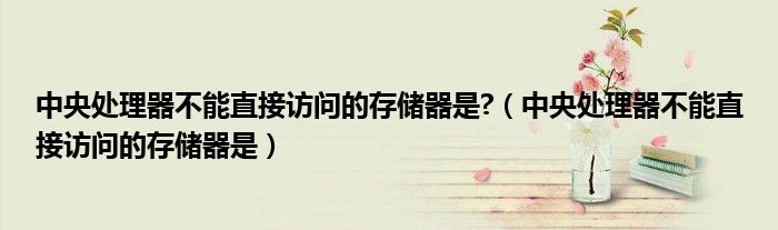 中央处理器不能直接访问的存储器是(中央处理器不能直接访问的存储器是?)
