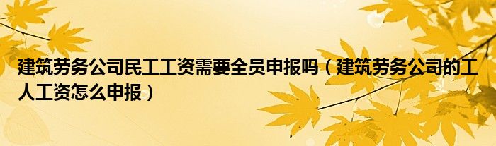 建筑劳务公司的工人工资怎么申报(建筑劳务公司民工工资需要全员申报吗)