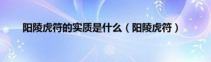 阳陵虎符(阳陵虎符的实质是什么)