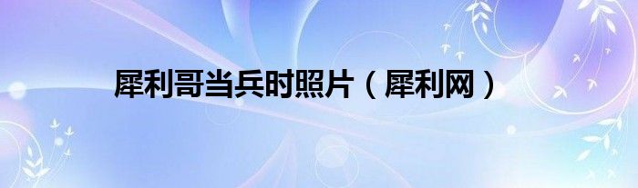 犀利网(犀利哥当兵时照片)