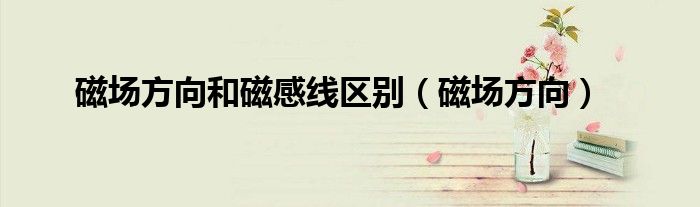 磁场方向(磁场方向和磁感线区别)