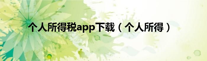个人所得(个人所得税app下载)