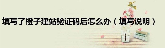 填写说明(填写了橙子建站验证码后怎么办)