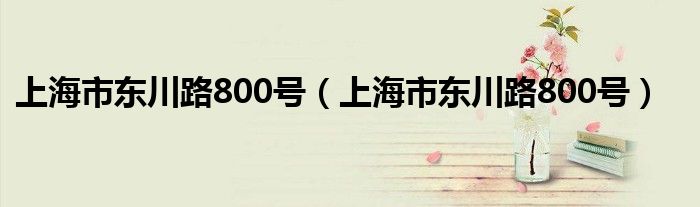 上海市东川路800号(上海市东川路800号)