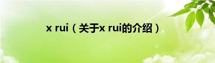 关于x rui的介绍(x rui)