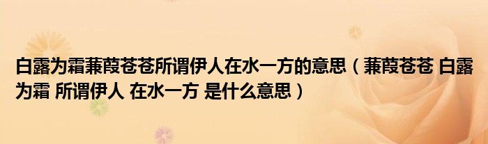 蒹葭苍苍 白露为霜 所谓伊人 在水一方 是什么意思(白露为霜蒹葭苍苍所谓伊人在水一方的意思)