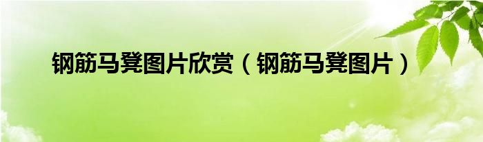 钢筋马凳图片(钢筋马凳图片欣赏)