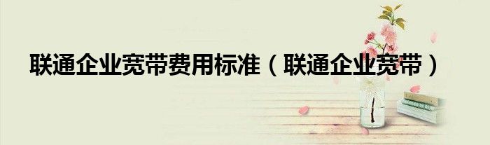 联通企业宽带(联通企业宽带费用标准)