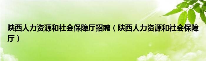 陕西人力资源和社会保障厅(陕西人力资源和社会保障厅招聘)