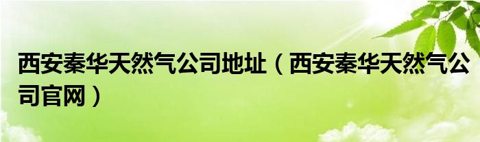 西安秦华天然气公司官网(西安秦华天然气公司地址)