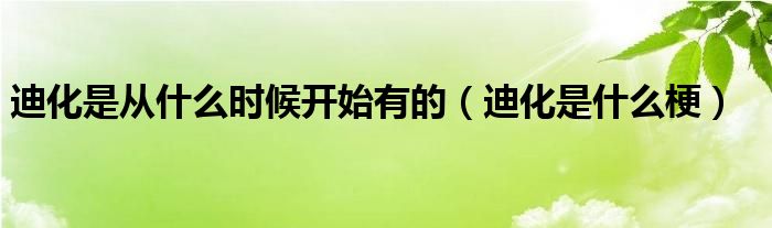 迪化是什么梗(迪化是从什么时候开始有的)