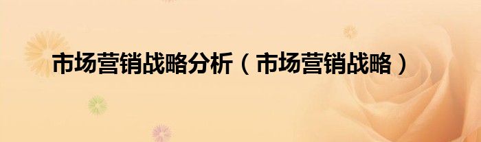 市场营销战略(市场营销战略分析)