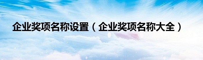 企业奖项名称大全(企业奖项名称设置)