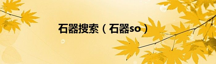 石器so(石器搜索)