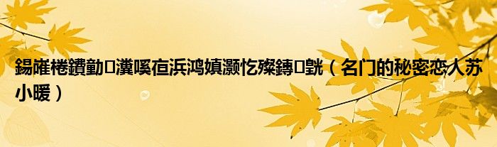 名门的秘密恋人苏小暖(鍚嶉棬鐨勭瀵嗘亱浜鸿嫃灏忔殩鏄皝)