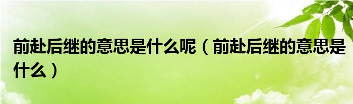 前赴后继的意思是什么(前赴后继的意思是什么呢)