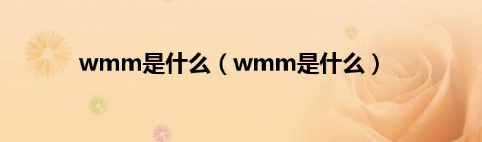 wmm是什么(wmm是什么)