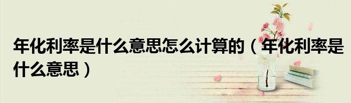 年化利率是什么意思(年化利率是什么意思怎么计算的)