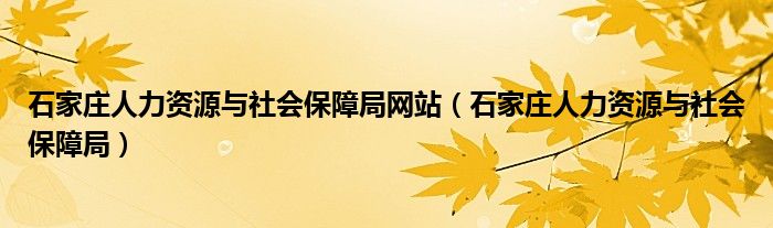 石家庄人力资源与社会保障局(石家庄人力资源与社会保障局网站)