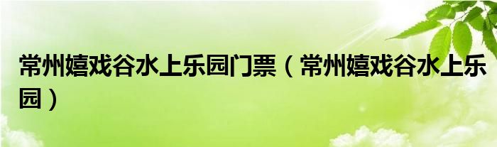 常州嬉戏谷水上乐园(常州嬉戏谷水上乐园门票)