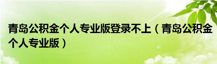 青岛公积金个人专业版(青岛公积金个人专业版登录不上)