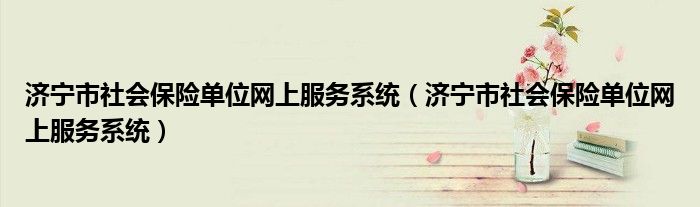 济宁市社会保险单位网上服务系统(济宁市社会保险单位网上服务系统)