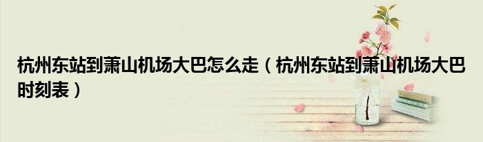 杭州东站到萧山机场大巴时刻表(杭州东站到萧山机场大巴怎么走)