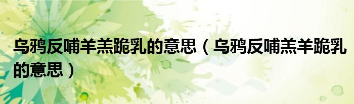乌鸦反哺羔羊跪乳的意思(乌鸦反哺羊羔跪乳的意思)