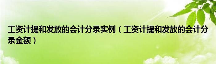 工资计提和发放的会计分录金额(工资计提和发放的会计分录实例)