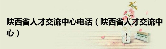 陕西省人才交流中心(陕西省人才交流中心电话)