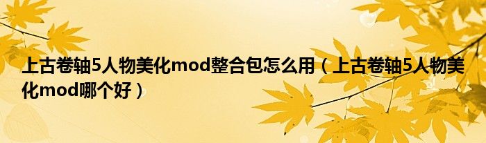 上古卷轴5人物美化mod哪个好(上古卷轴5人物美化mod整合包怎么用)