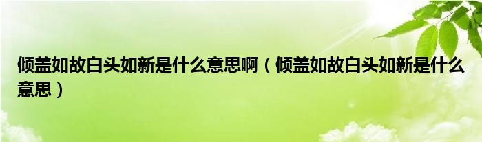 倾盖如故白头如新是什么意思(倾盖如故白头如新是什么意思啊)