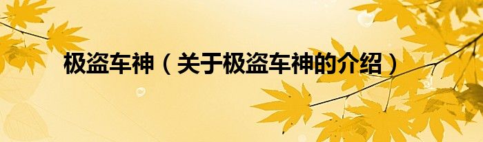 关于极盗车神的介绍(极盗车神)