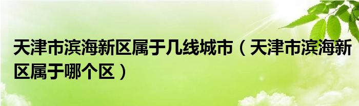 天津市滨海新区属于哪个区(天津市滨海新区属于几线城市)