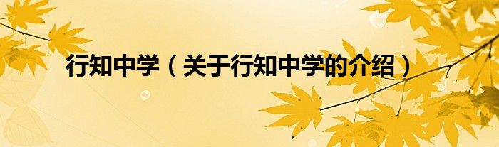 关于行知中学的介绍(行知中学)