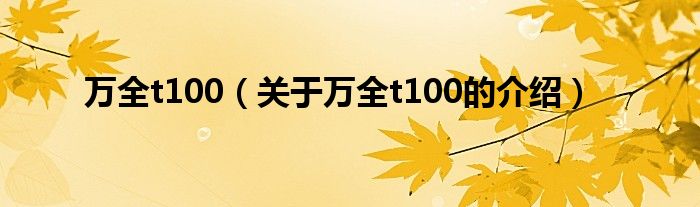 关于万全t100的介绍(万全t100)