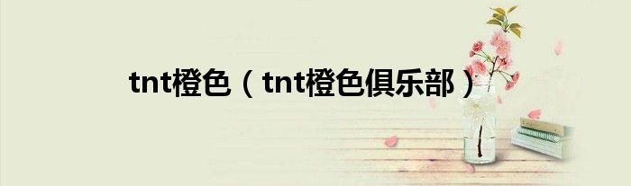 tnt橙色俱乐部(tnt橙色)