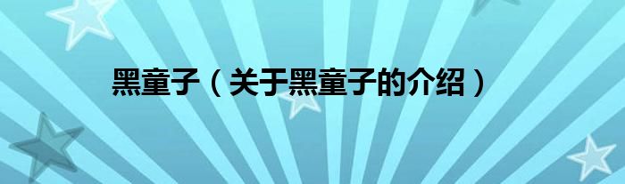 关于黑童子的介绍(黑童子)