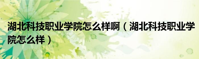 湖北科技职业学院怎么样(湖北科技职业学院怎么样啊)
