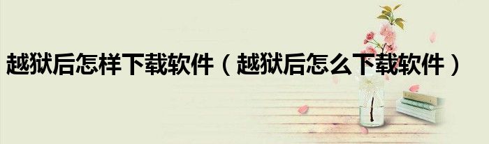 越狱后怎么下载软件(越狱后怎样下载软件)