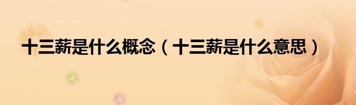 十三薪是什么意思(十三薪是什么概念)