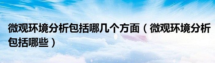 微观环境分析包括哪些(微观环境分析包括哪几个方面)