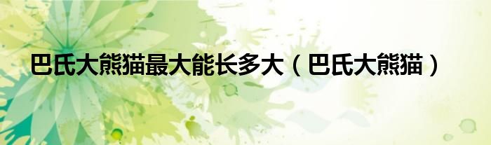 巴氏大熊猫(巴氏大熊猫最大能长多大)