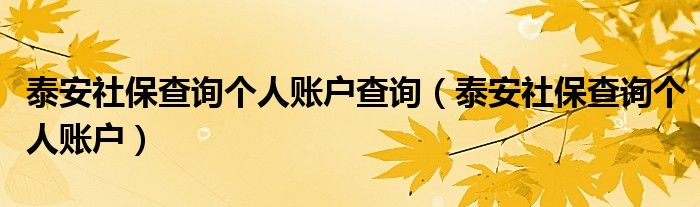 泰安社保查询个人账户(泰安社保查询个人账户查询)
